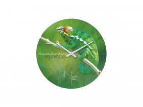 Часы настенные Nicole Time NT503 в Пушном - pushnoj.mebel-nsk.ru | фото